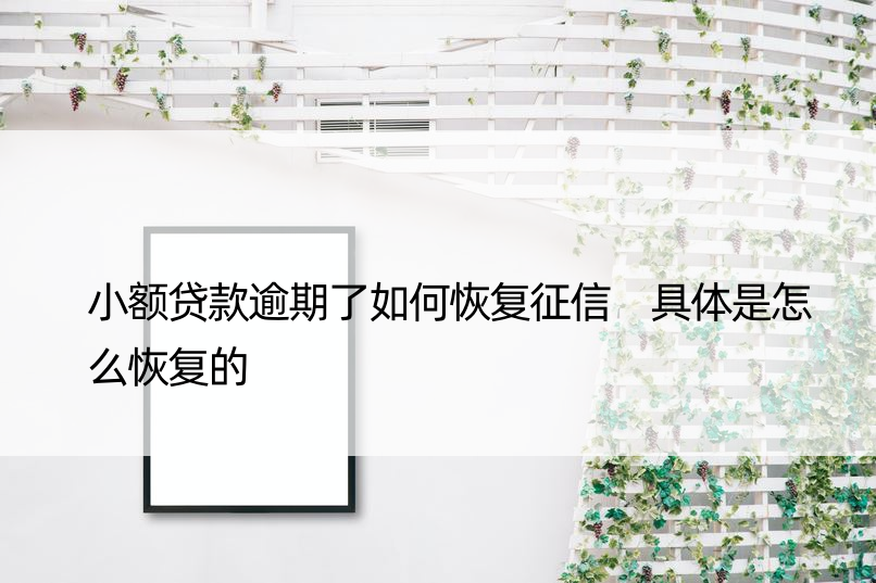 小额贷款逾期了如何恢复征信 具体是怎么恢复的