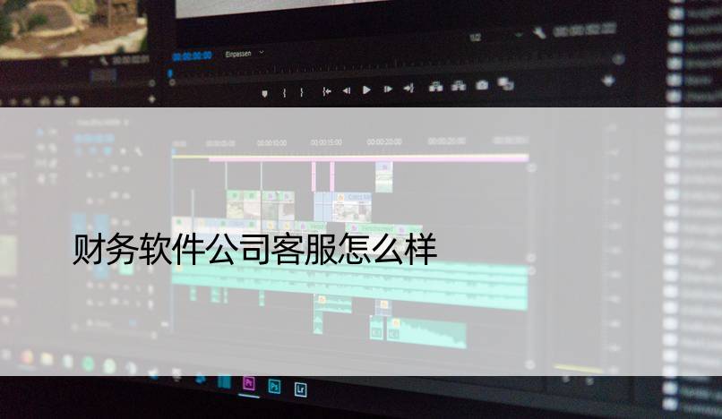财务软件公司客服怎么样