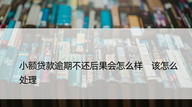 小额贷款逾期不还后果会怎么样 该怎么处理