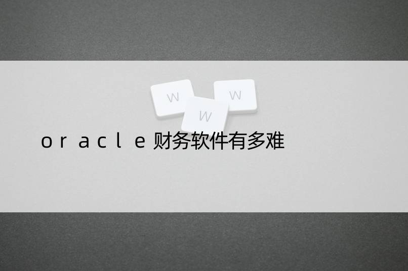 oracle财务软件有多难