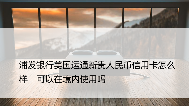 浦发银行美国运通新贵人民币信用卡怎么样 可以在境内使用吗