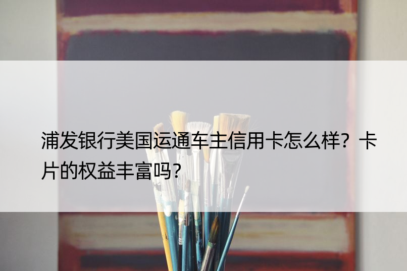 浦发银行美国运通车主信用卡怎么样？卡片的权益丰富吗？