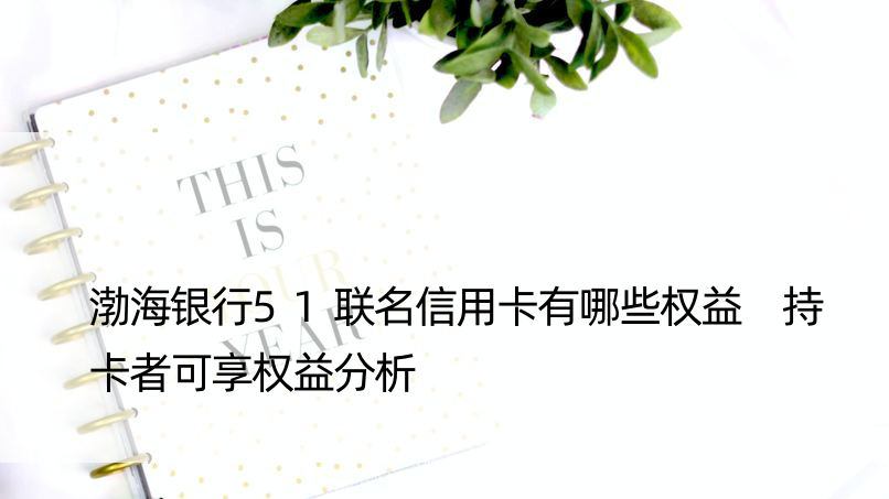 渤海银行51联名信用卡有哪些权益 持卡者可享权益分析