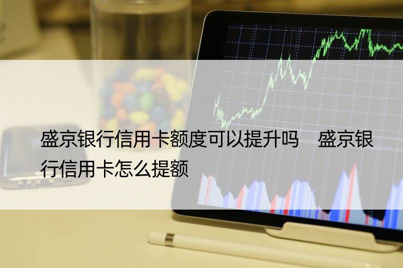 盛京银行信用卡额度可以提升吗 盛京银行信用卡怎么提额