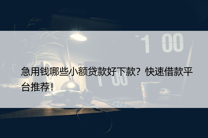 急用钱哪些小额贷款好下款？快速借款平台推荐！