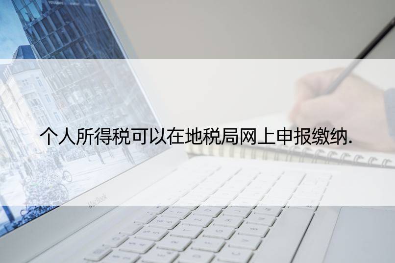 个人所得税可以在地税局网上申报缴纳.