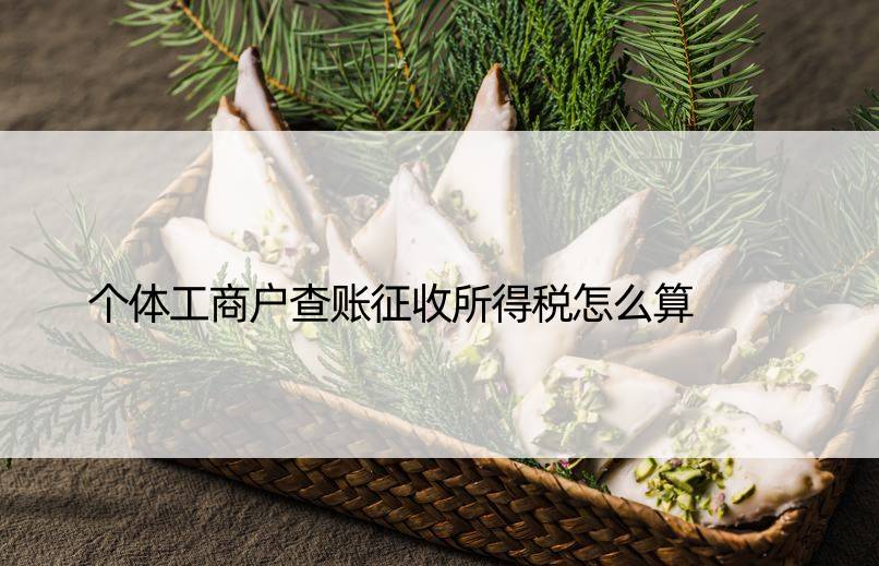 个体工商户查账征收所得税怎么算