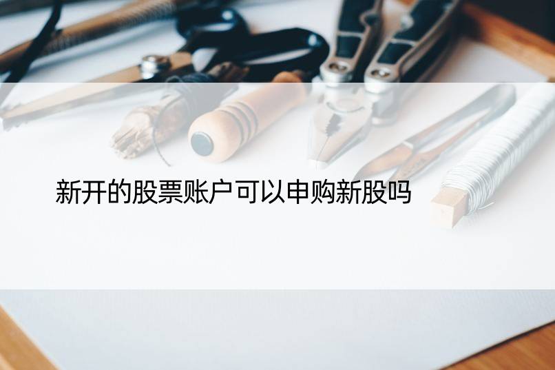 新开的股票账户可以申购新股吗