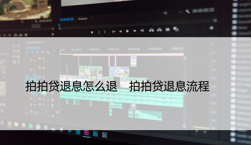 拍拍贷退息怎么退 拍拍贷退息流程