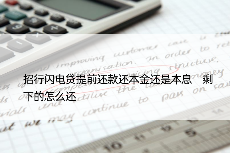 招行闪电贷提前还款还本金还是本息 剩下的怎么还