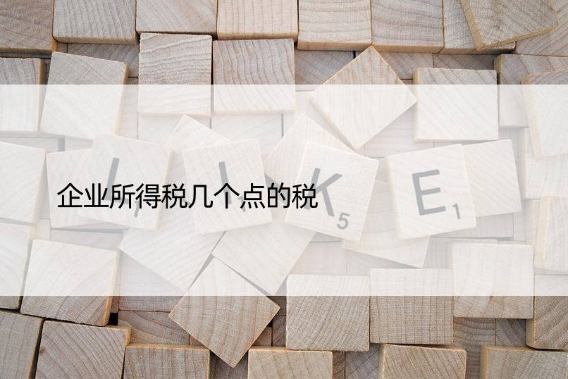 企业所得税几个点的税