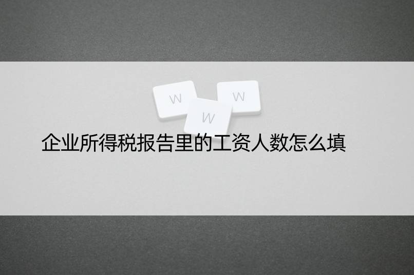 企业所得税报告里的工资人数怎么填