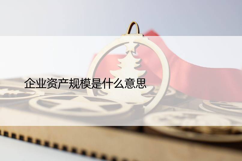 企业资产规模是什么意思