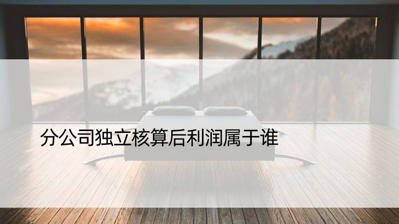 分公司独立核算后利润属于谁