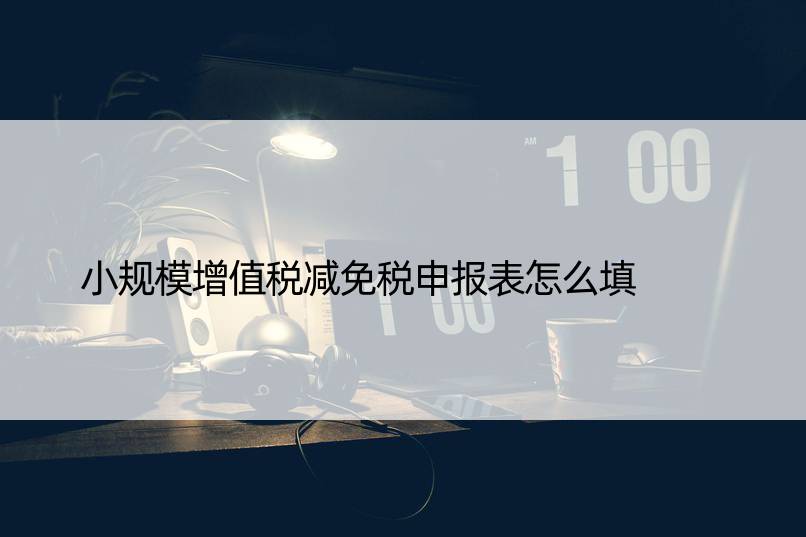 小规模增值税减免税申报表怎么填