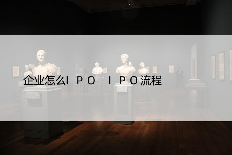 企业怎么IPO IPO流程