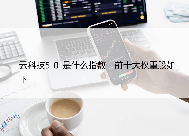 云科技50是什么指数 前十大权重股如下