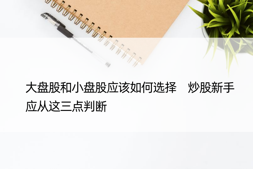 大盘股和小盘股应该如何选择 炒股新手应从这三点判断