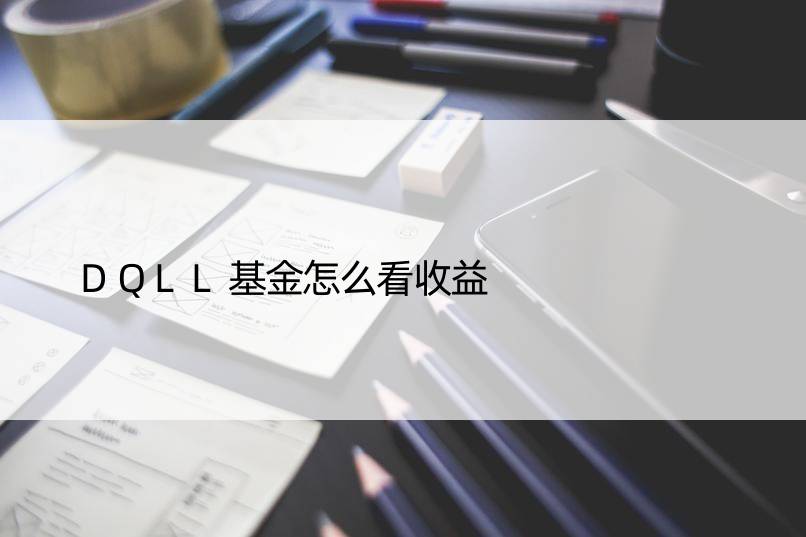 DQLL基金怎么看收益