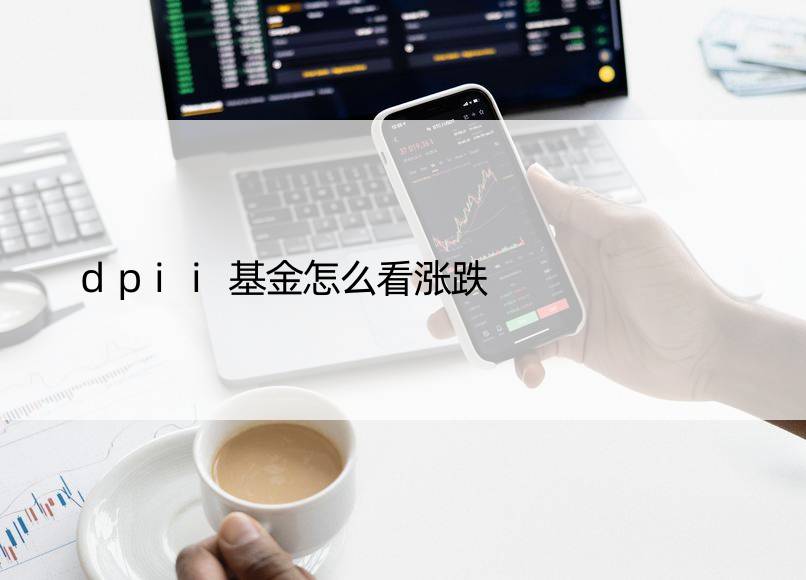 dpii基金怎么看涨跌