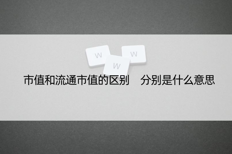 市值和流通市值的区别 分别是什么意思