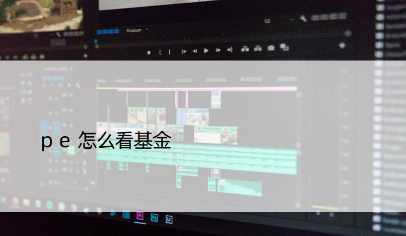 pe怎么看基金