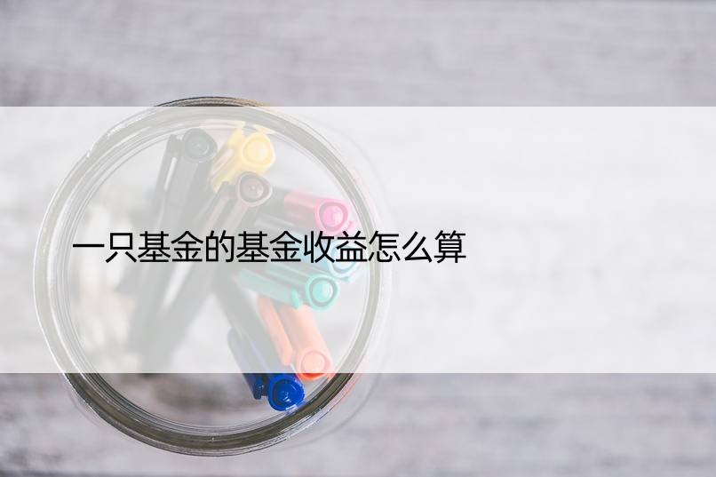 一只基金的基金收益怎么算