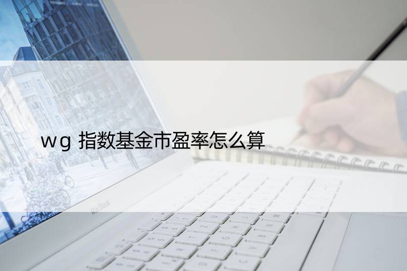 wg指数基金市盈率怎么算