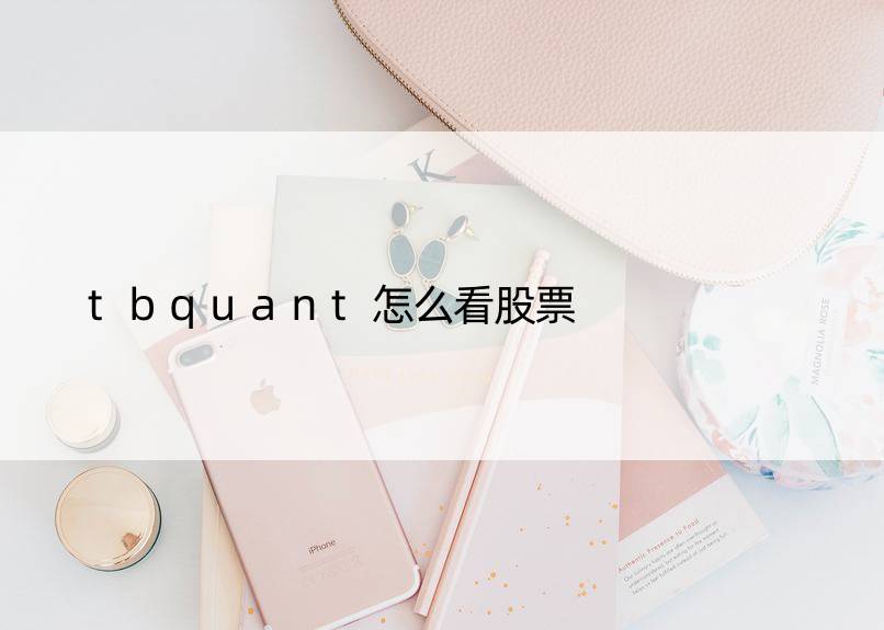 tbquant怎么看股票