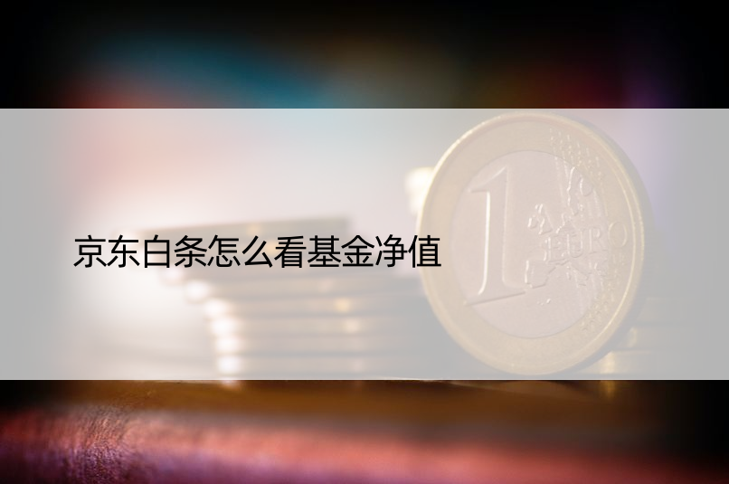 京东白条怎么看基金净值