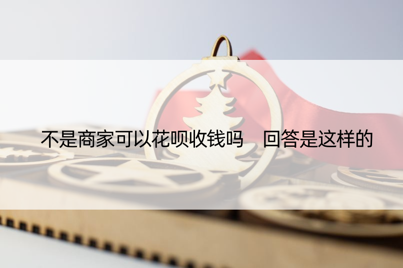 不是商家可以花呗收钱吗 回答是这样的