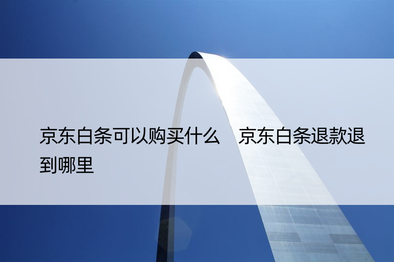 京东白条可以购买什么 京东白条退款退到哪里