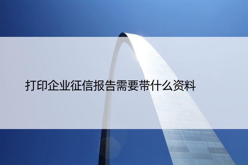 打印企业征信报告需要带什么资料