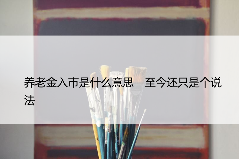 养老金入市是什么意思 至今还只是个说法