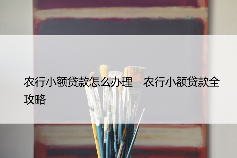 农行小额贷款怎么办理 农行小额贷款全攻略