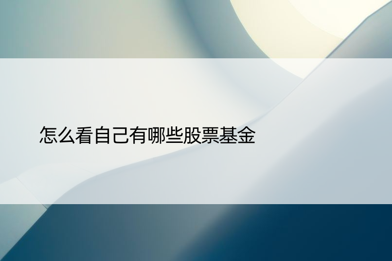 怎么看自己有哪些股票基金