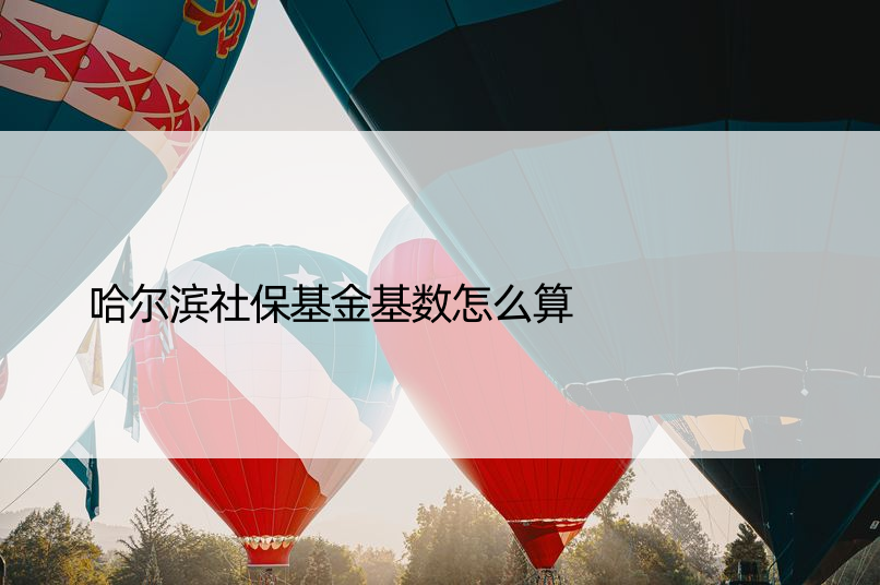 哈尔滨社保基金基数怎么算