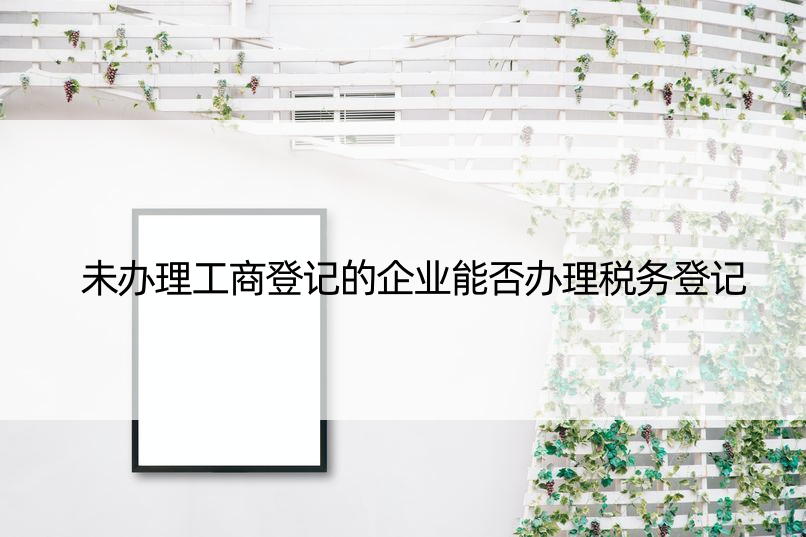 未办理工商登记的企业能否办理税务登记