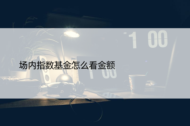 场内指数基金怎么看金额