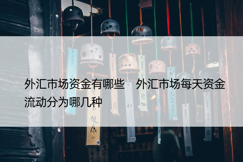 外汇市场资金有哪些 外汇市场每天资金流动分为哪几种