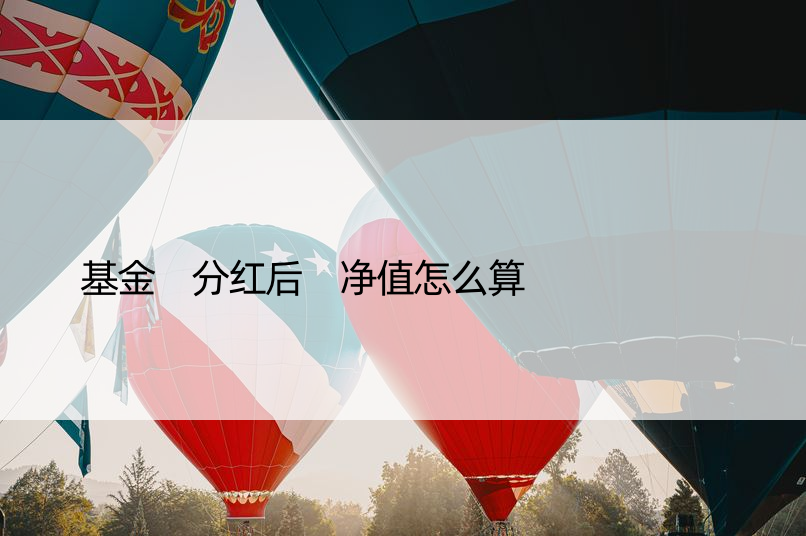 基金 分红后 净值怎么算