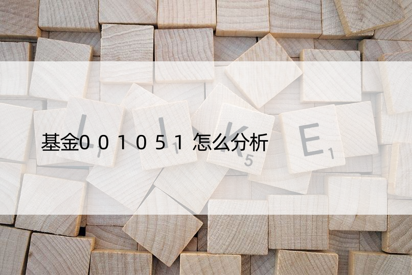 基金001051怎么分析