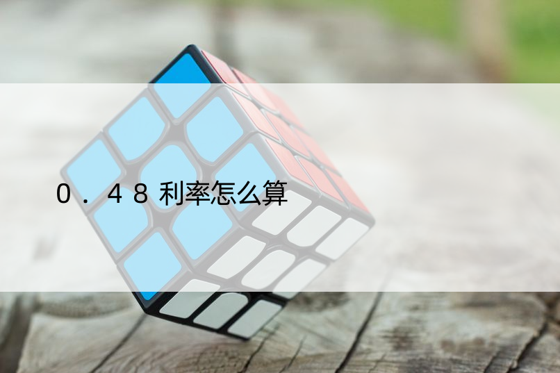 0.48利率怎么算