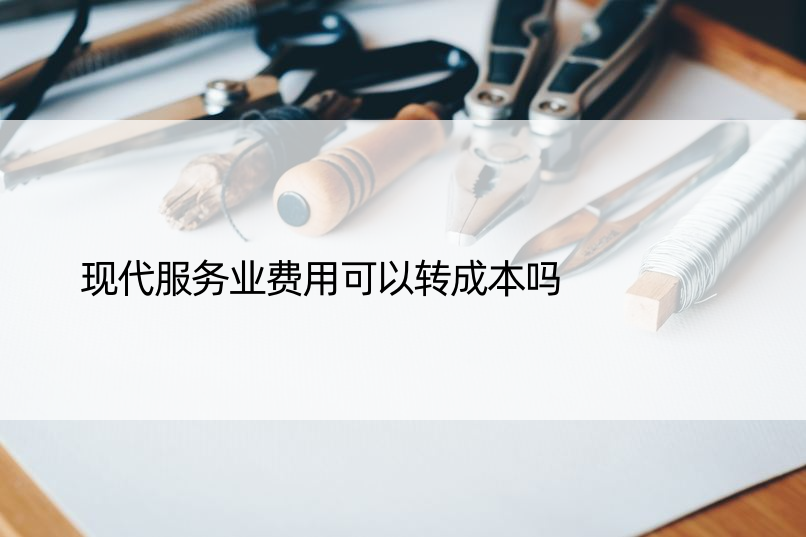 现代服务业费用可以转成本吗