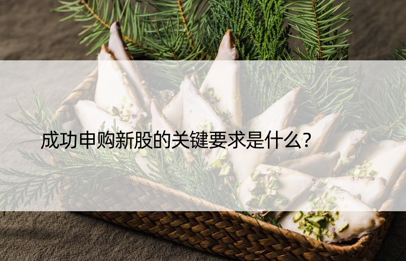 成功申购新股的关键要求是什么？