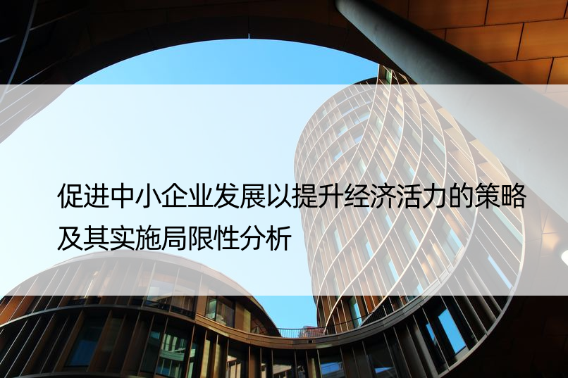 促进中小企业发展以提升经济活力的策略及其实施局限性分析