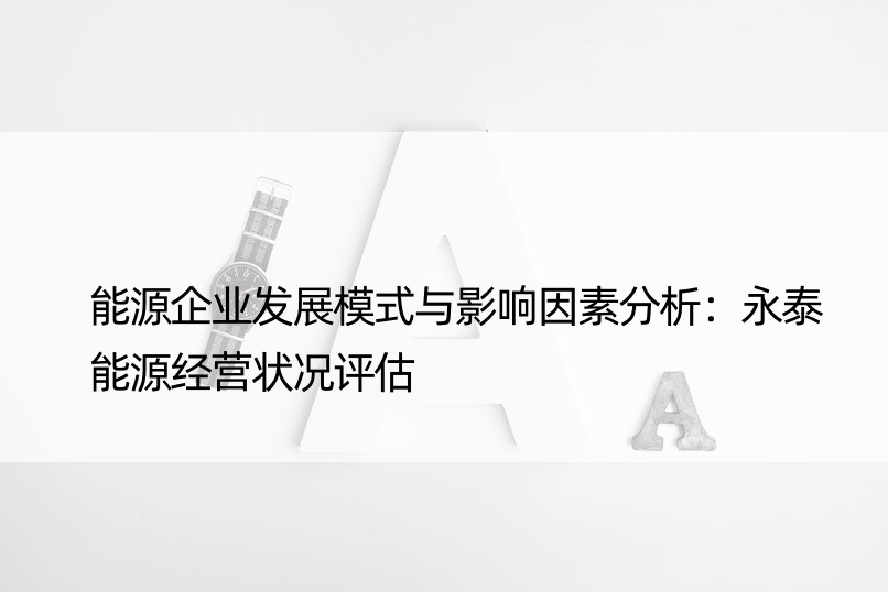 能源企业发展模式与影响因素分析：永泰能源经营状况评估