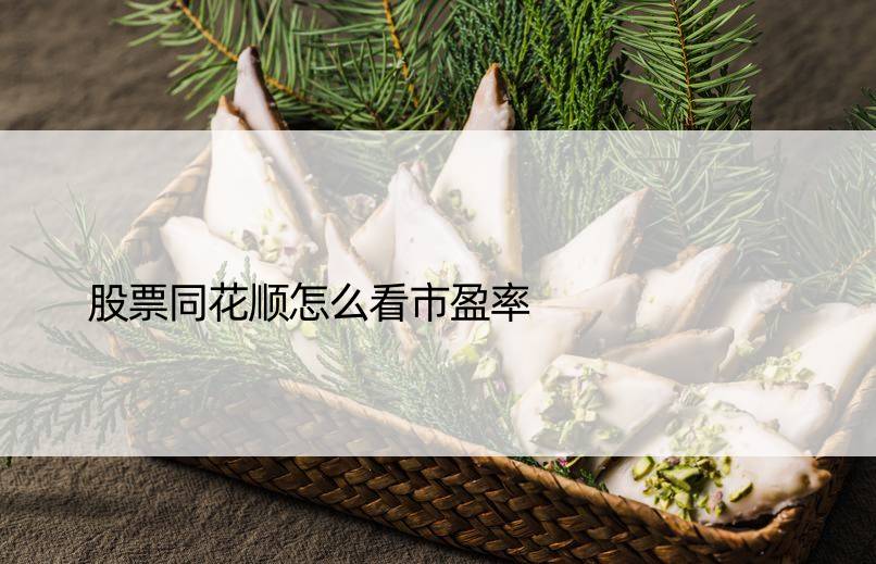 股票同花顺怎么看市盈率