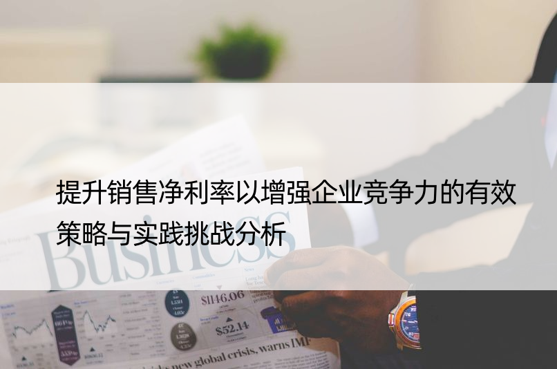 提升销售净利率以增强企业竞争力的有效策略与实践挑战分析