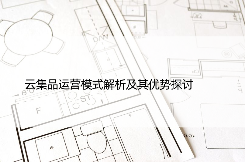 云集品运营模式解析及其优势探讨